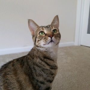 Meet your Posher, Jack